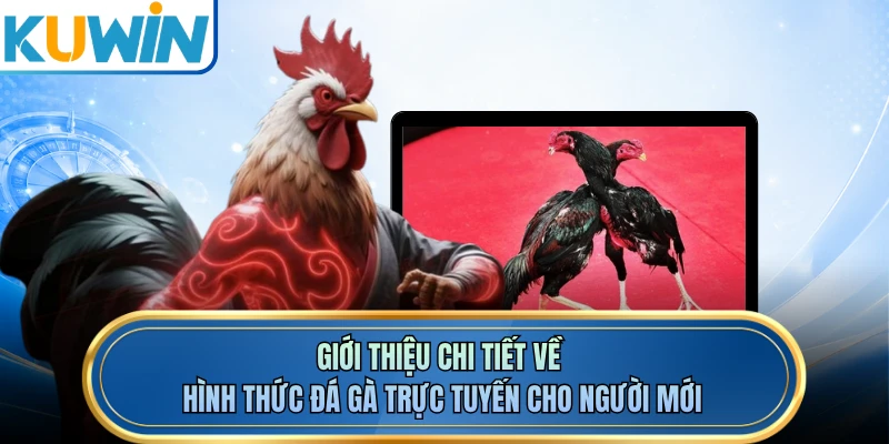 Giới thiệu chi tiết về hình thức đá gà trực tuyến cho người mới 